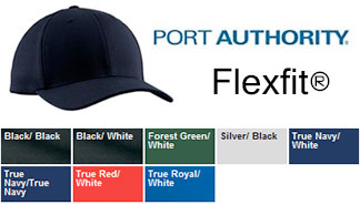 Flex Fit Mesh Back