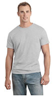 Hanes Nano T